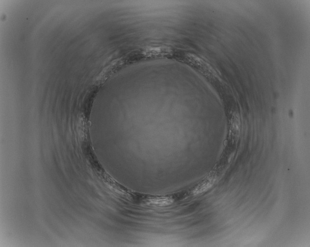 X0000076310659200610161620