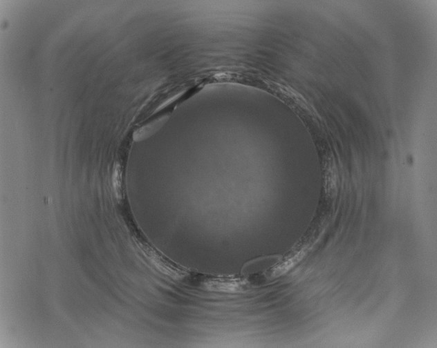 X0000076310661200610161620