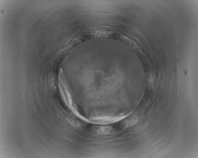 X0000076310663200610161620