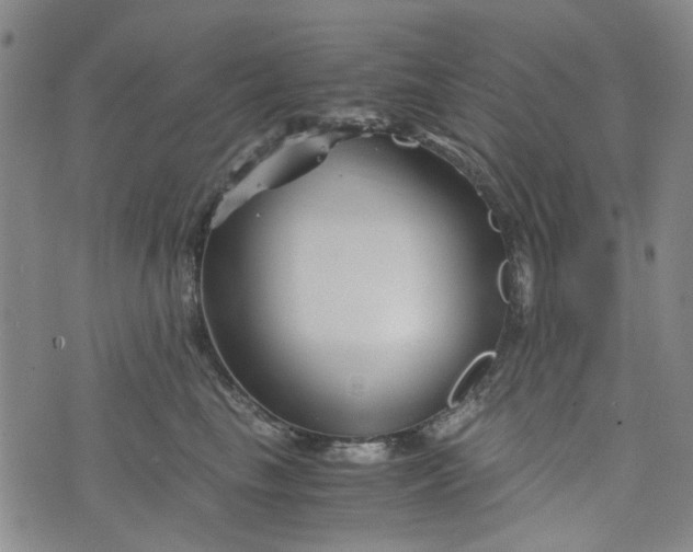 X0000076310665200610161620