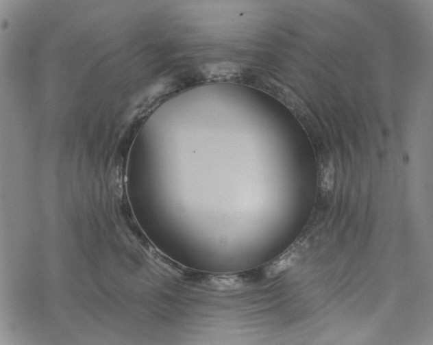 X0000076310666200610161620