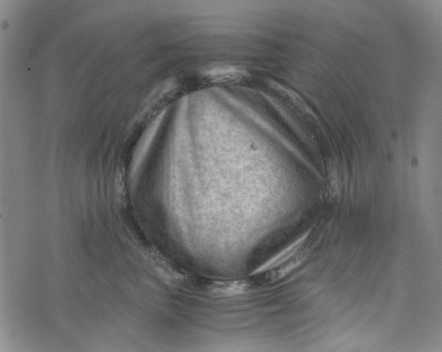 X0000076310667200610161620