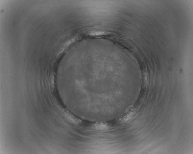 X0000076310668200610161620