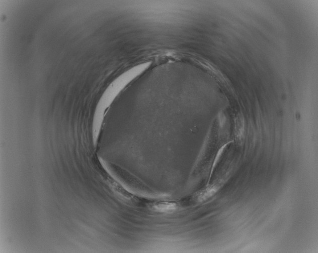 X0000076310669200610161620