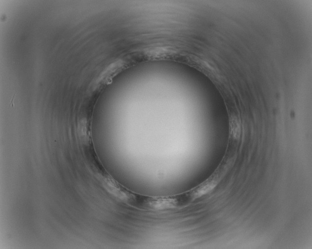 X0000076310670200610161620