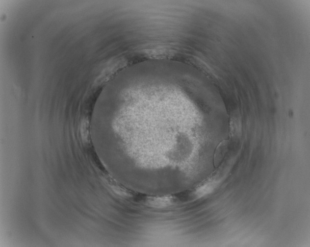 X0000076310671200610161620