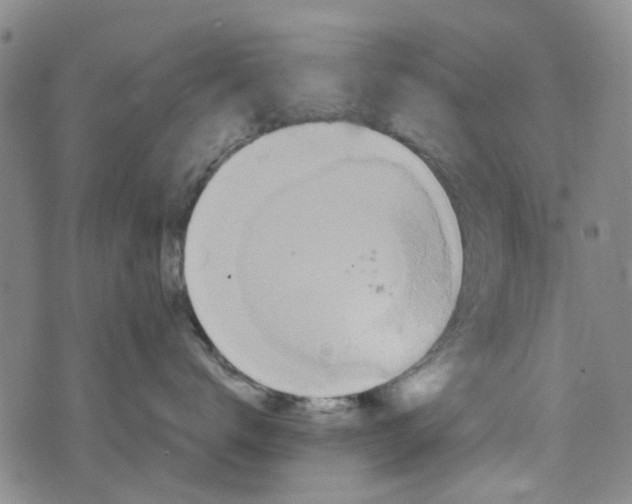 X0000076310672200610161620