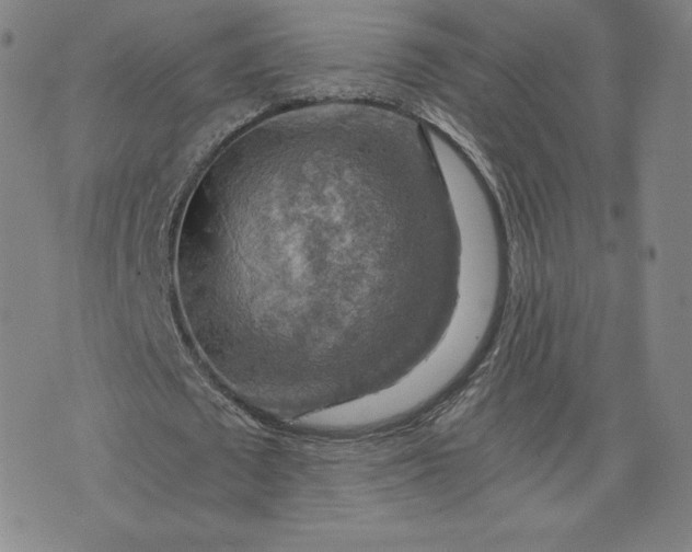 X0000076310673200610161619