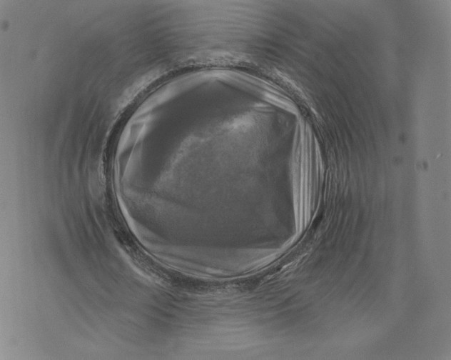 X0000076310674200610161619