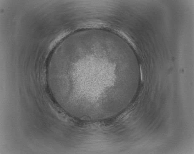 X0000076310675200610161619