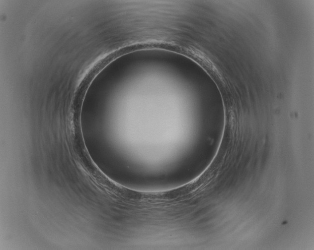 X0000076310676200610161619