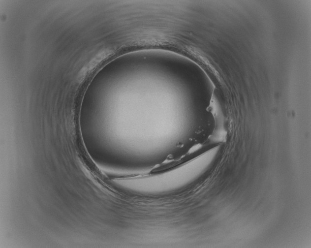 X0000076310677200610161619