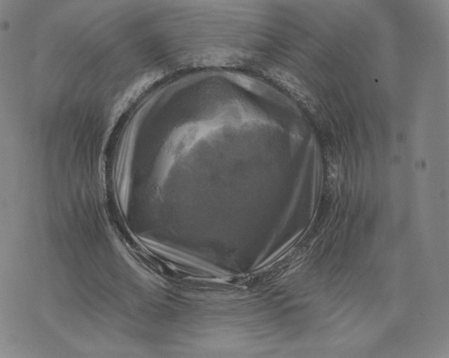 X0000076310678200610161619