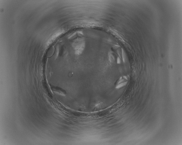 X0000076310679200610161619