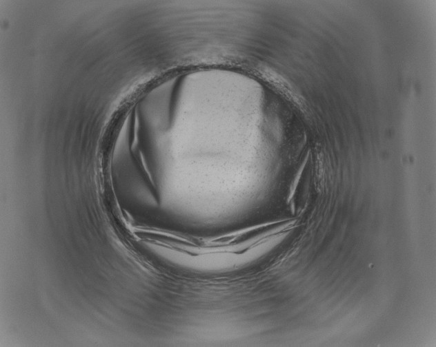 X0000076310680200610161619