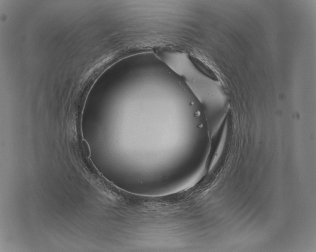 X0000076310681200610161619