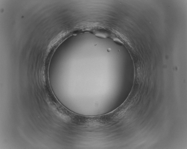 X0000076310682200610161619