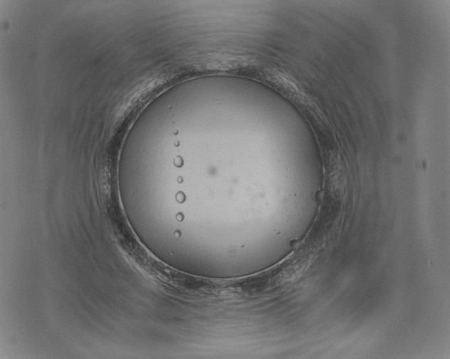 X0000076310683200610161619