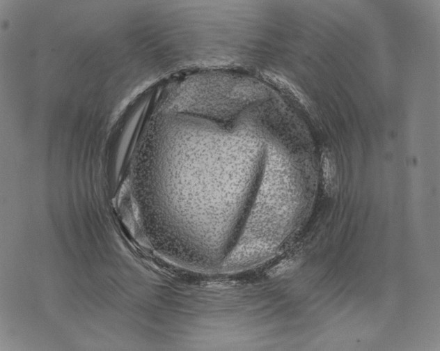 X0000076310684200610161619