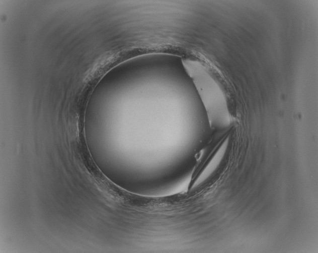 X0000076310685200610161619