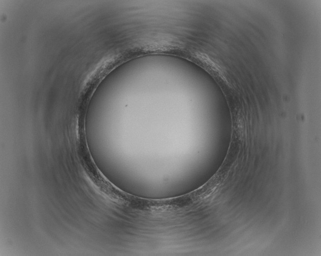 X0000076310686200610161619