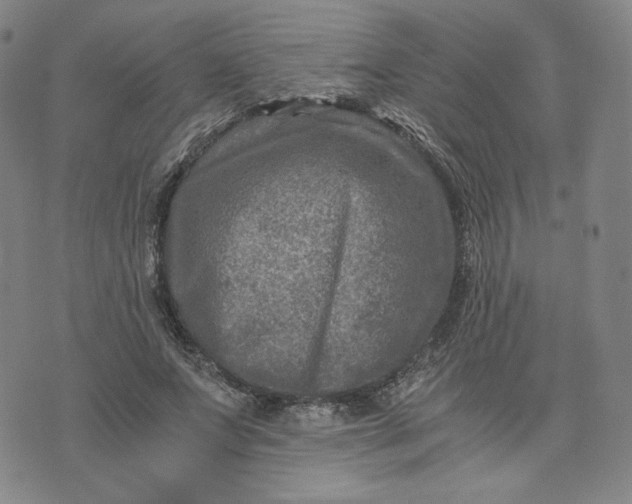 X0000076310687200610161619