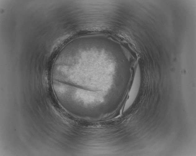 X0000076310688200610161619