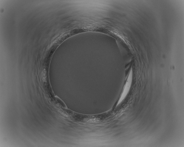 X0000076310689200610161619