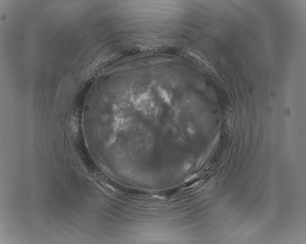 X0000076310691200610161619