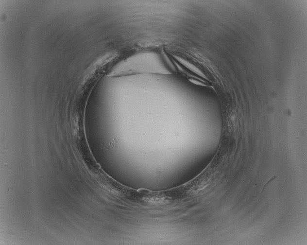 X0000076310693200610161619