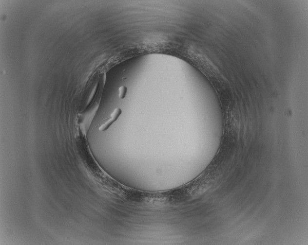 X0000076310694200610161619