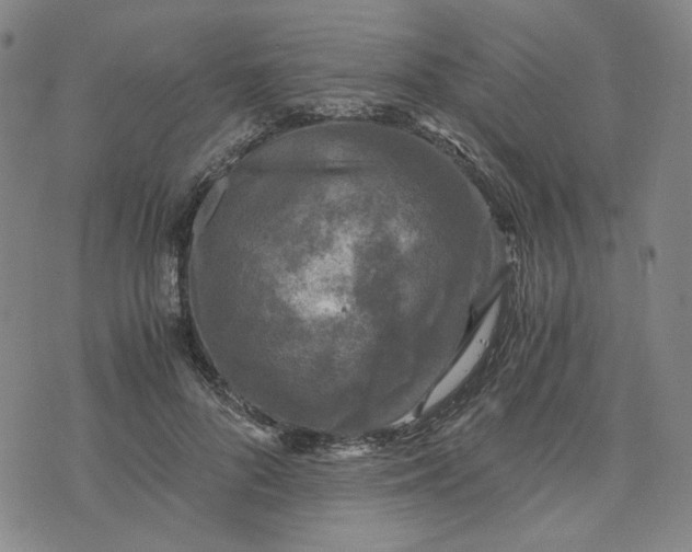 X0000076310696200610161619