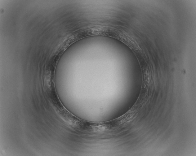 X0000076310698200610161619