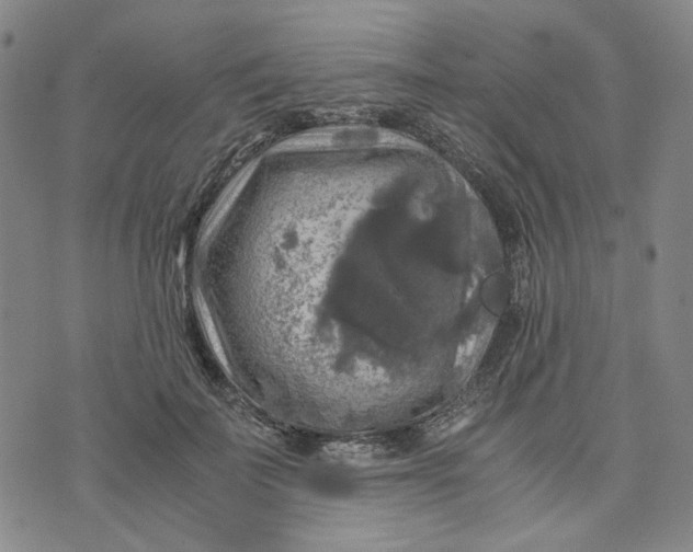 X0000076310699200610161619