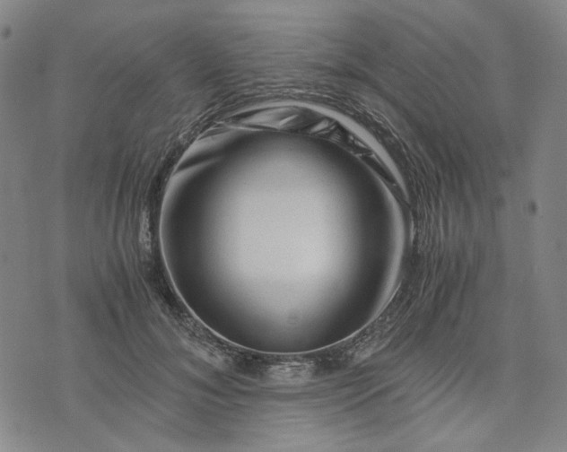 X0000076310700200610161619