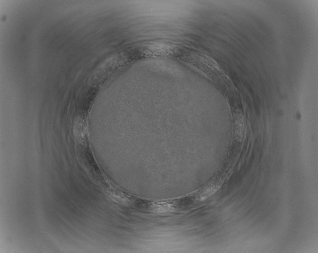 X0000076310701200610161619