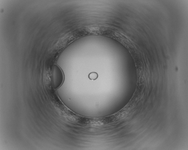 X0000076310702200610161619