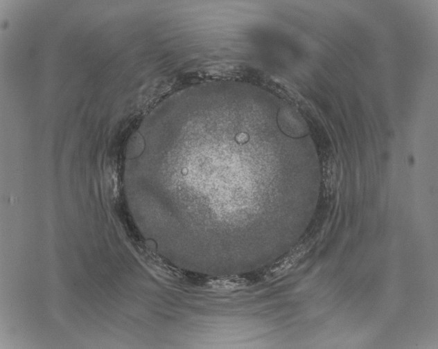 X0000076310703200610161619