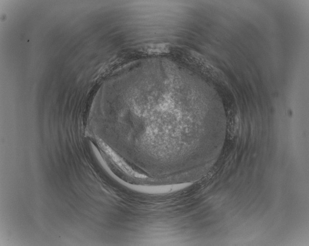 X0000076310704200610161619