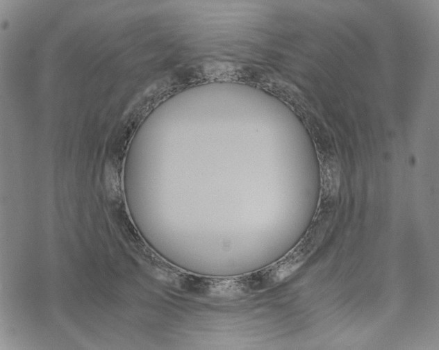 X0000076310705200610161619