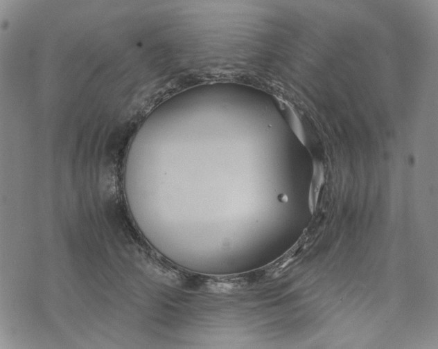 X0000076310706200610161619