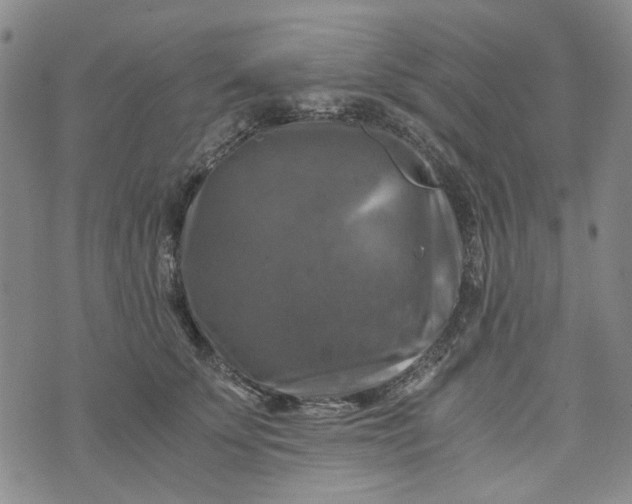 X0000076310707200610161619