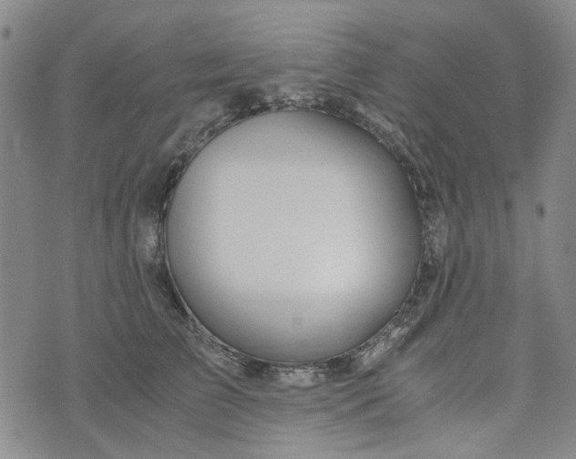 X0000076310709200610161619