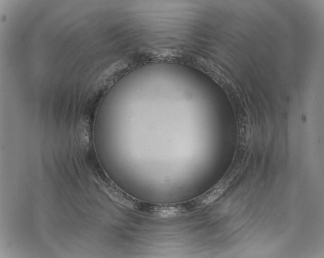 X0000076310710200610161619