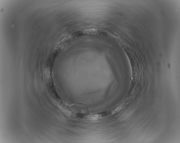 X0000076310711200610161619