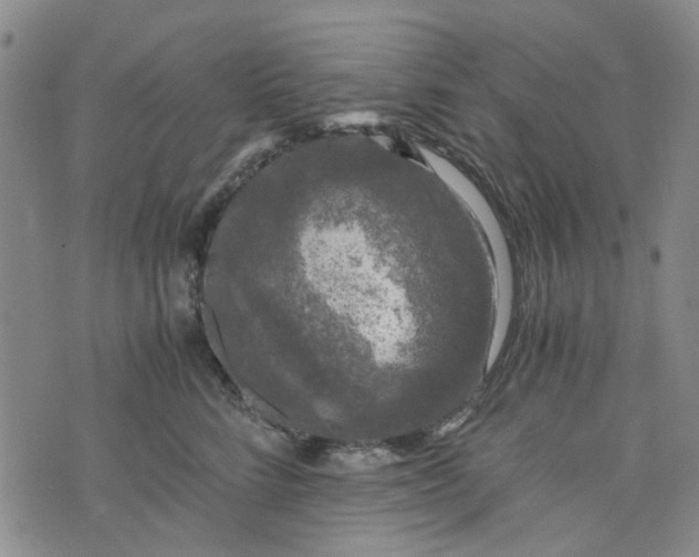 X0000076310712200610161619