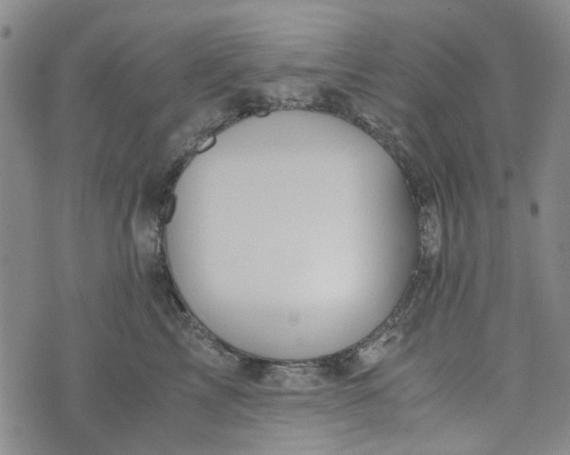 X0000076310713200610161619