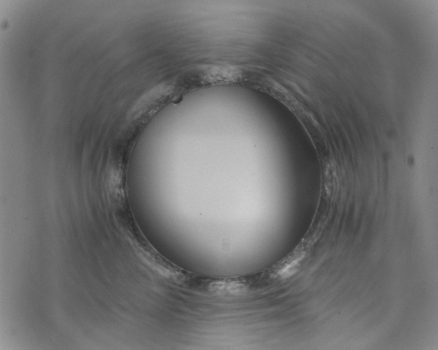 X0000076310714200610161619