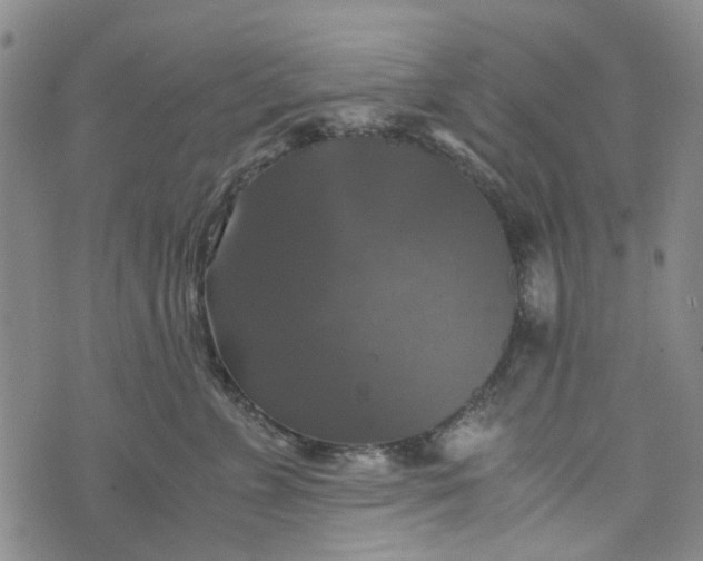 X0000076310715200610161619