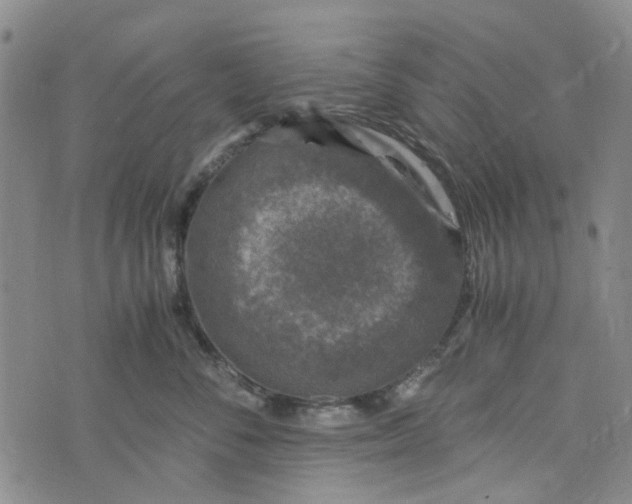 X0000076310716200610161619